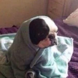 Meet your Posher, Bryanna